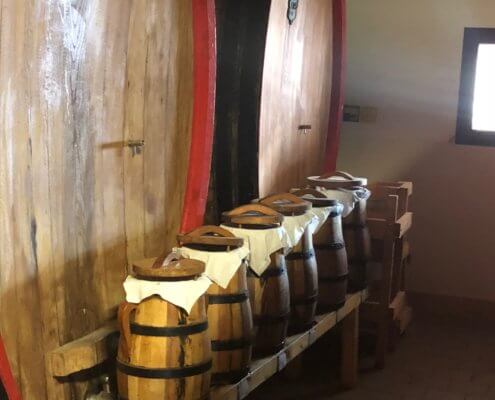 Casks in a wine cellar